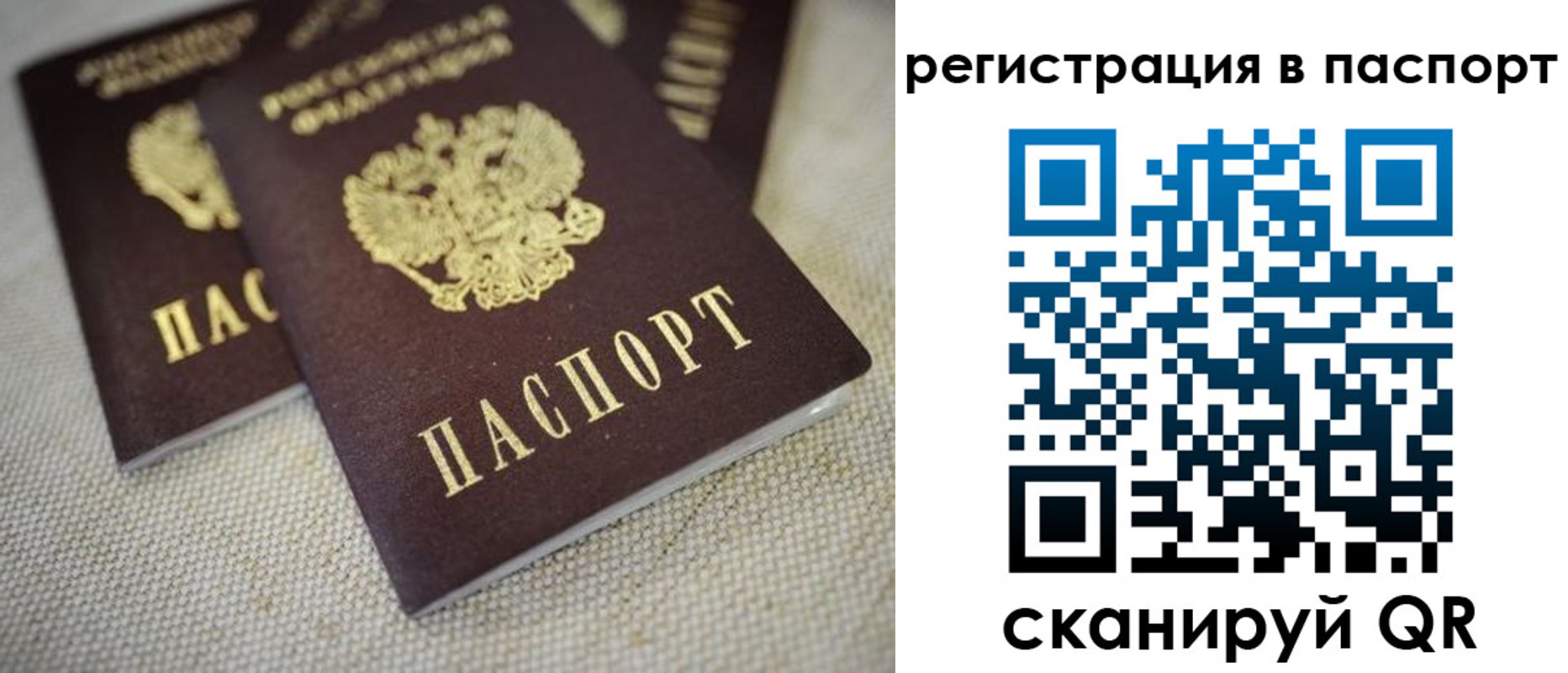 прописка гарантия в Красном Куте